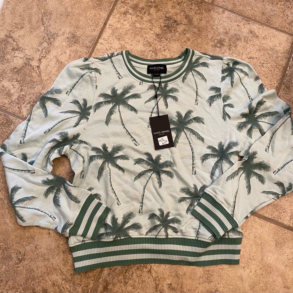 David Lerner New York XL Jade Puff Sleeve Seafoam pullover Womens